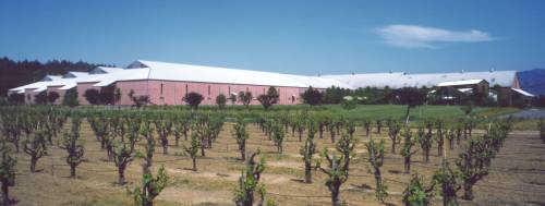 Clos-Du-Bois Winery